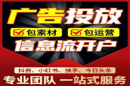 专业SEM服务托管方案案例分析